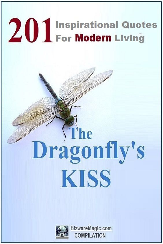 The Dragonfly's KISS