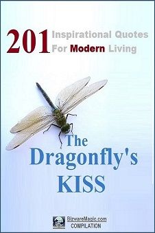 The Dragonfly's KISS