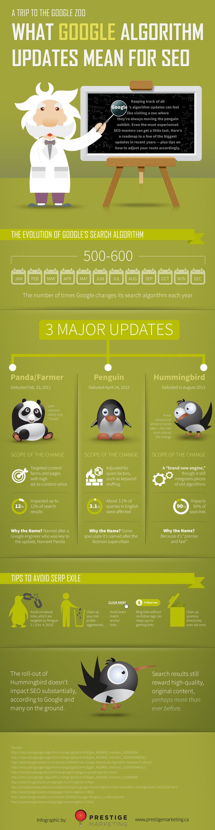 What The Google Algorithm Updates Mean for SEO
