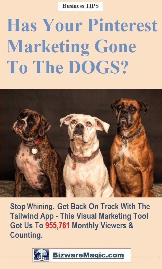Marketing Dogs Image