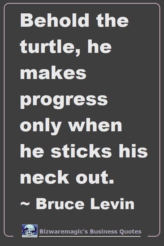 Bruce Levin Turtle Quote