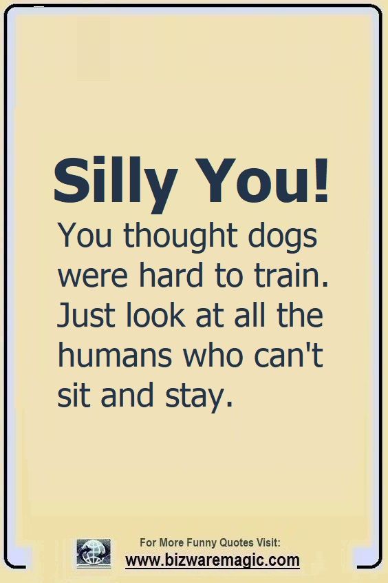 BizwareMagic's Silly You Quote Pin