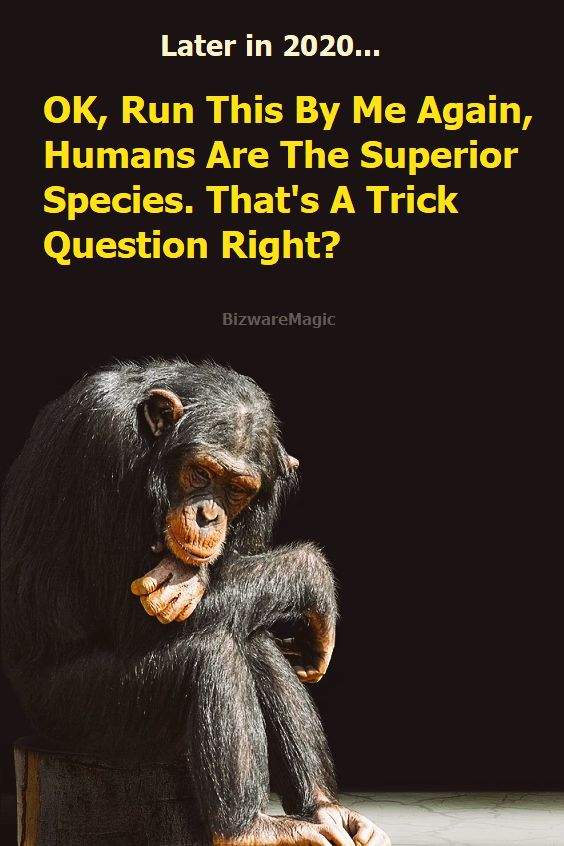 BizwareMagic's Superior Species Quote Pin